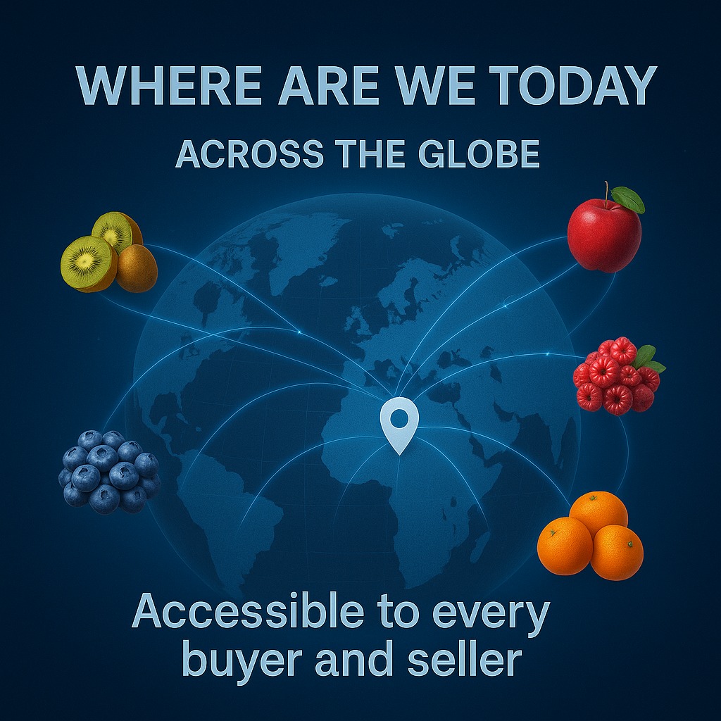 Global network
