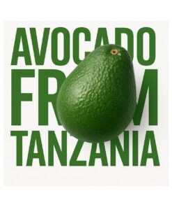 Avocado