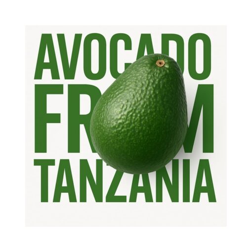 Avocado