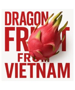 Dragon Fruit