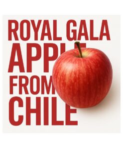 Chile Gala Apple