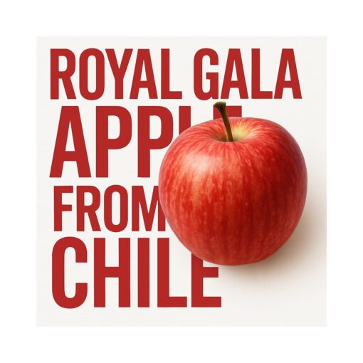 Chile Gala Apple