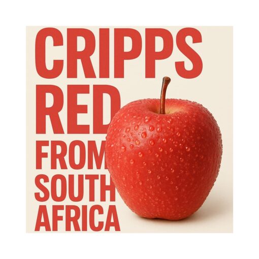 Cripps Red Apple