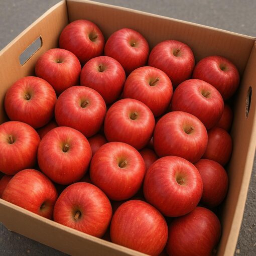 Chile Gala Apple - Image 2