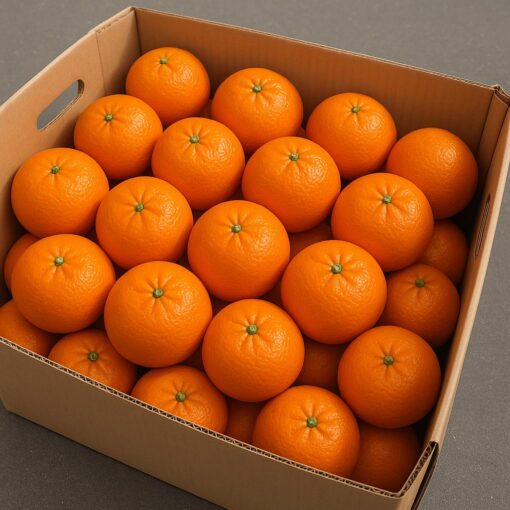 mandarins_fresh_ready_to_sale